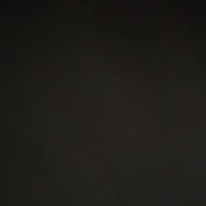 Meet your Posher, Tillie